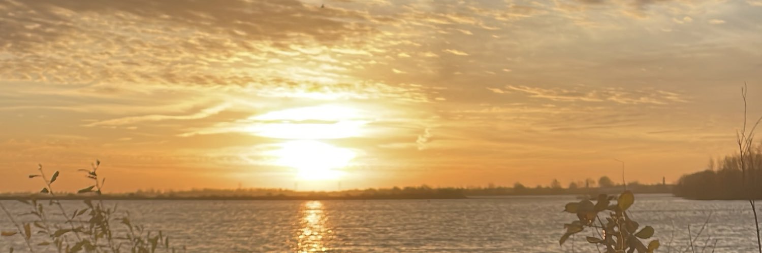 𝓓aniëlle 𝓗oek banner