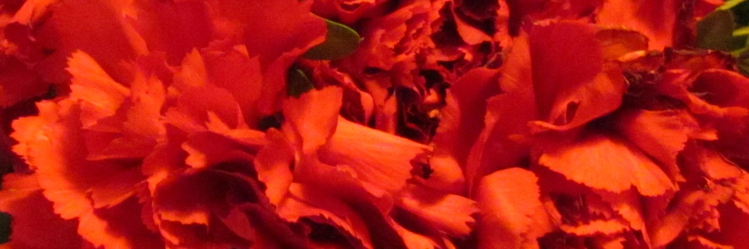 CcorgiM's profile banner image