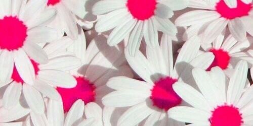 FlorMonteroD's profile banner image
