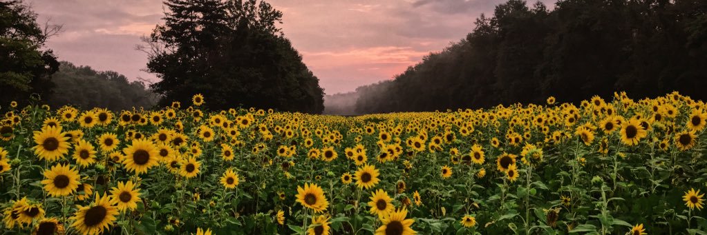 lauralovee_'s profile banner image