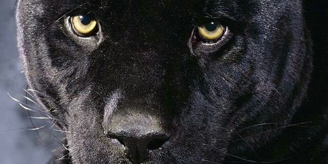 luvr_mr's profile banner image
