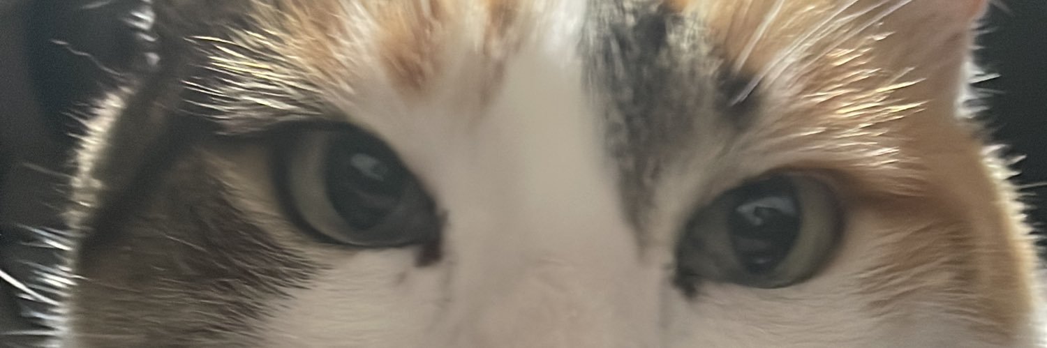 ancap_lib's profile banner image