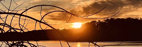 shroffgr Profile Banner