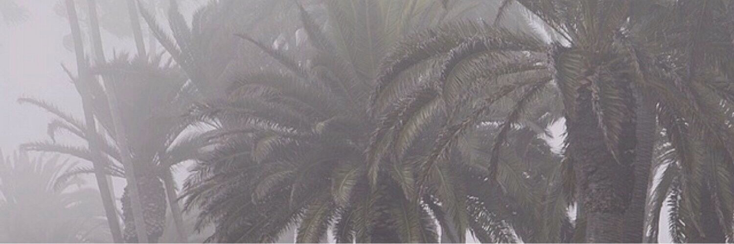 RPGDI_info's profile banner image