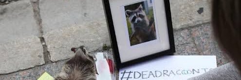 Chance Boudreaux banner