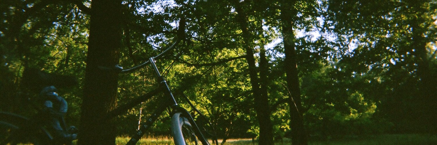 VeritoBucher's profile banner image