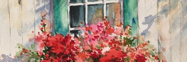SoloCoraa's profile banner image