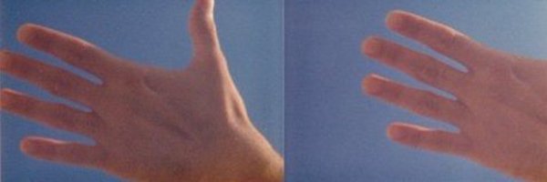 tolliverful1 Profile Banner