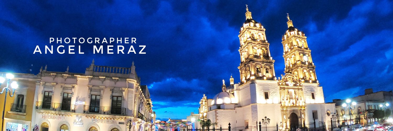 Alesandro del Piero banner