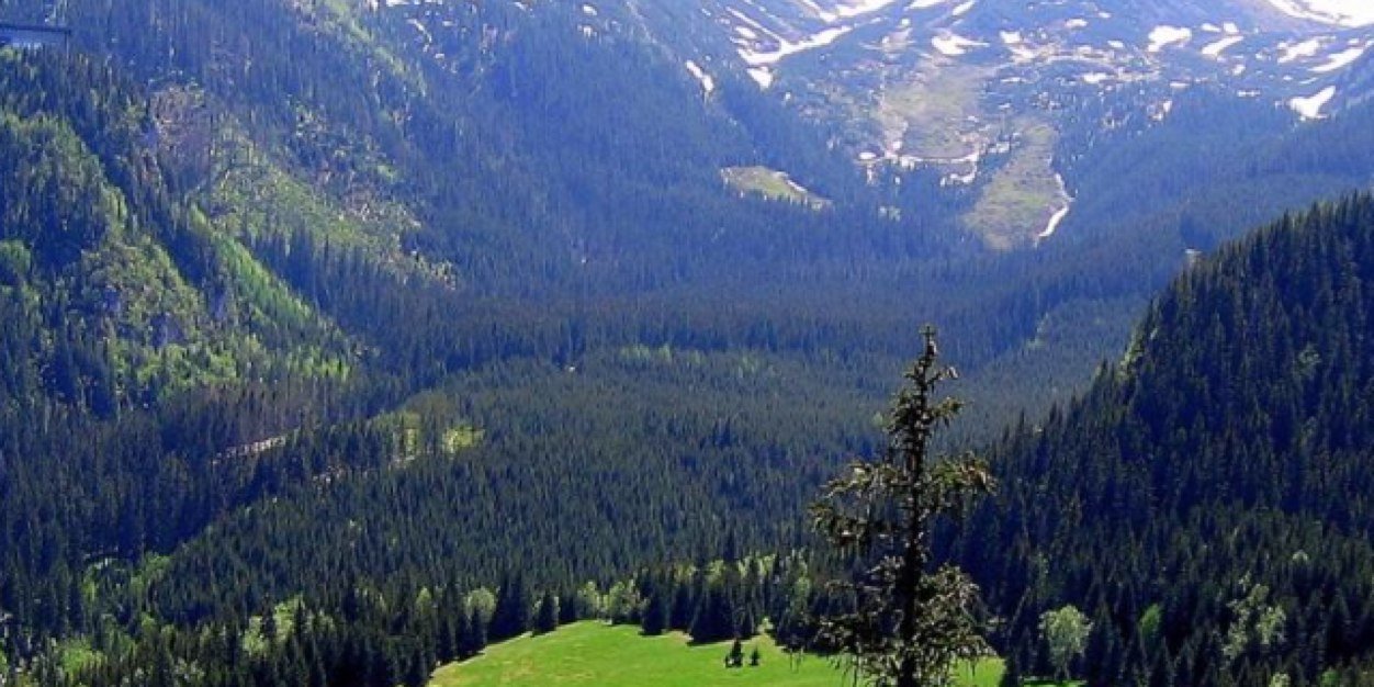 مادمتُ حياً banner