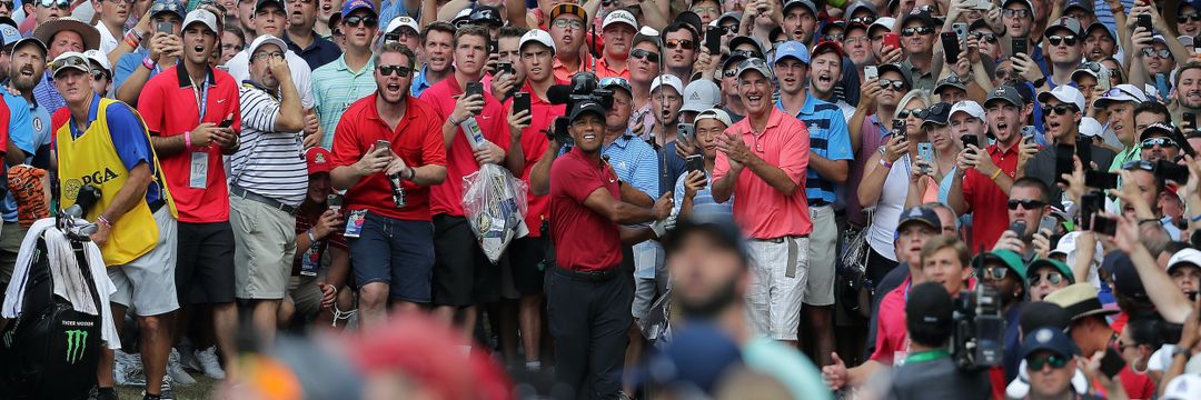 THE_Castillo_'s profile banner image