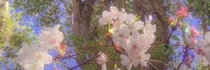 _DreammEra's profile banner image
