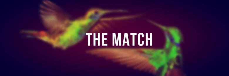 TheMatchFS's profile banner image