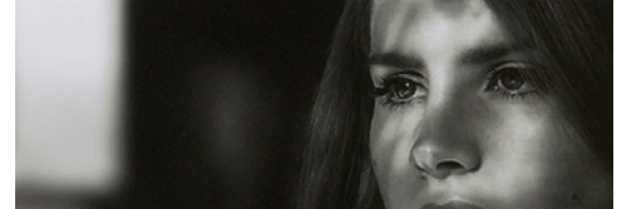 zek banner