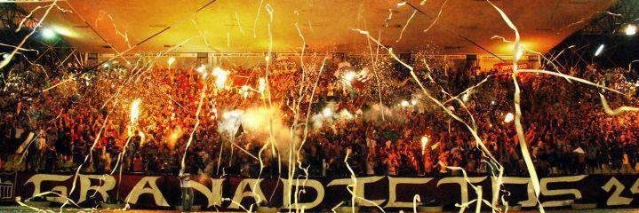 Delfry Granate banner