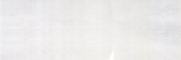 parkerabsent Profile Banner