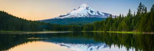 Justin Johnson banner