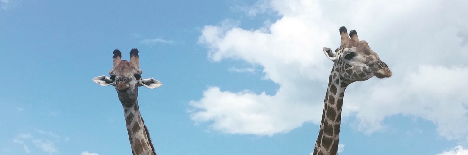meglovitch's profile banner image