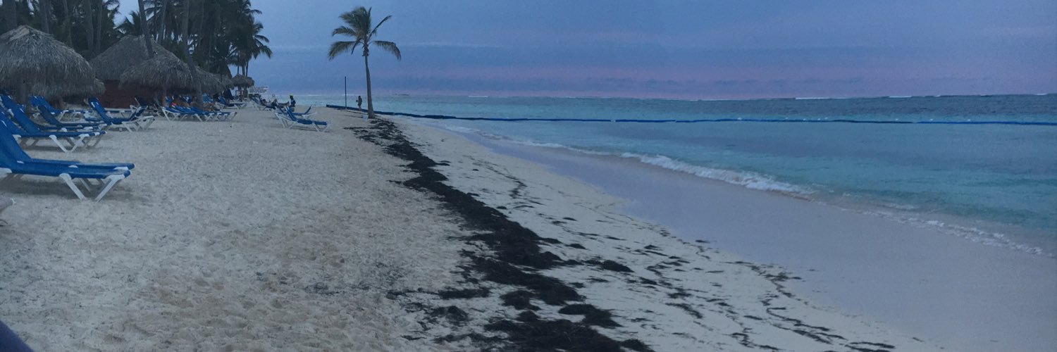 TiffHauke's profile banner image