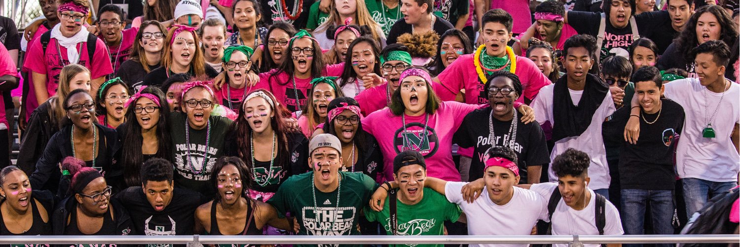 DM North High School banner