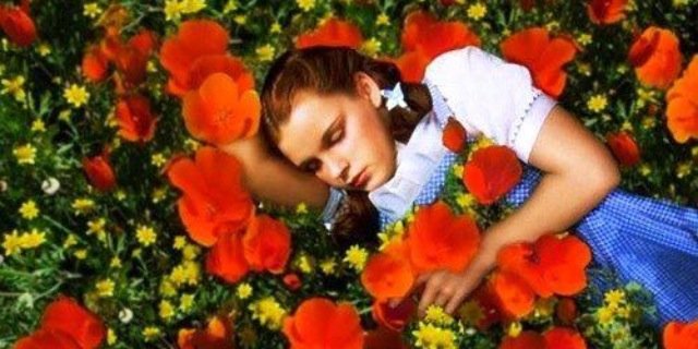 hannamurphy's profile banner image