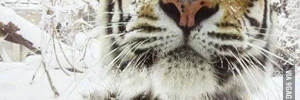 Lipescr94's profile banner image