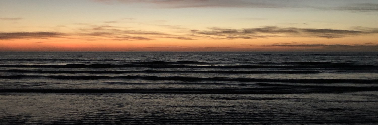 franktortuga's profile banner image