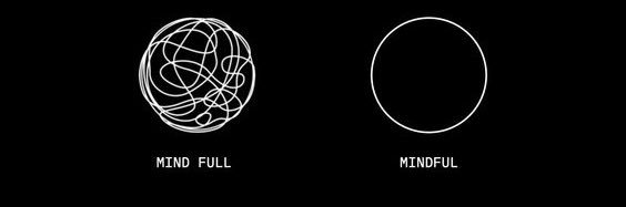 WhiteOakWisdom's profile banner image