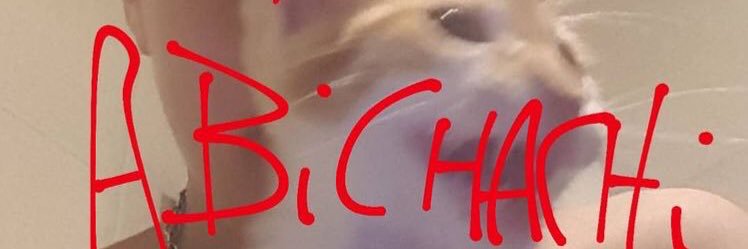 abitachii's profile banner image