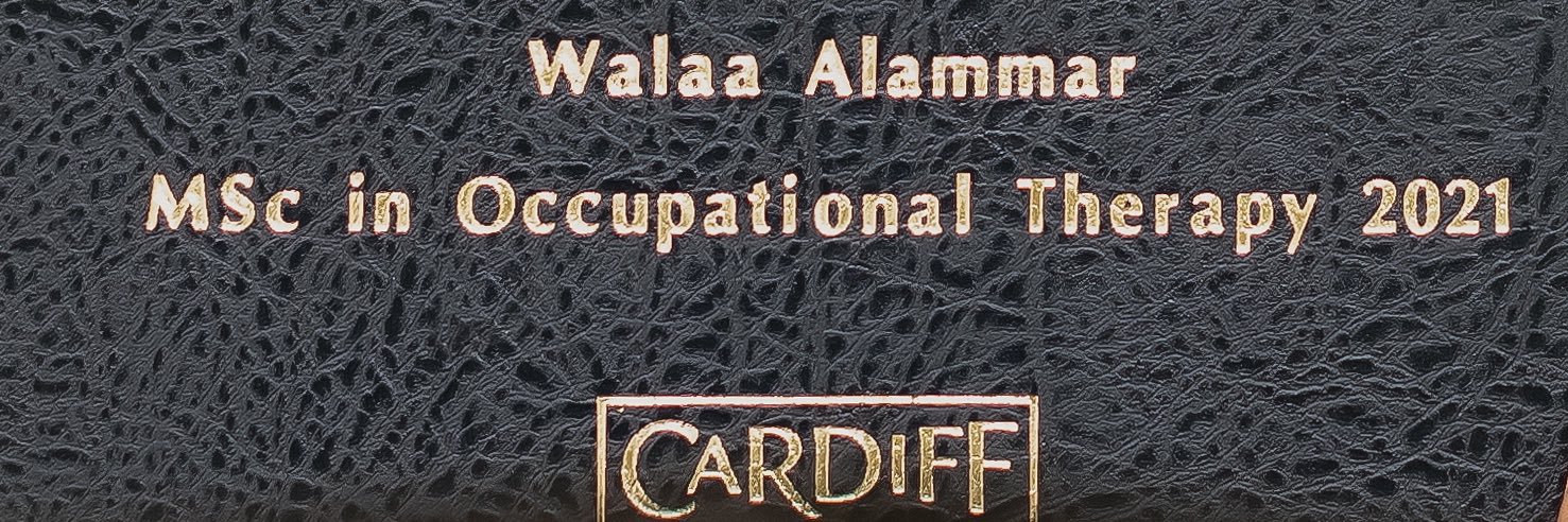 Walaa Alammar banner