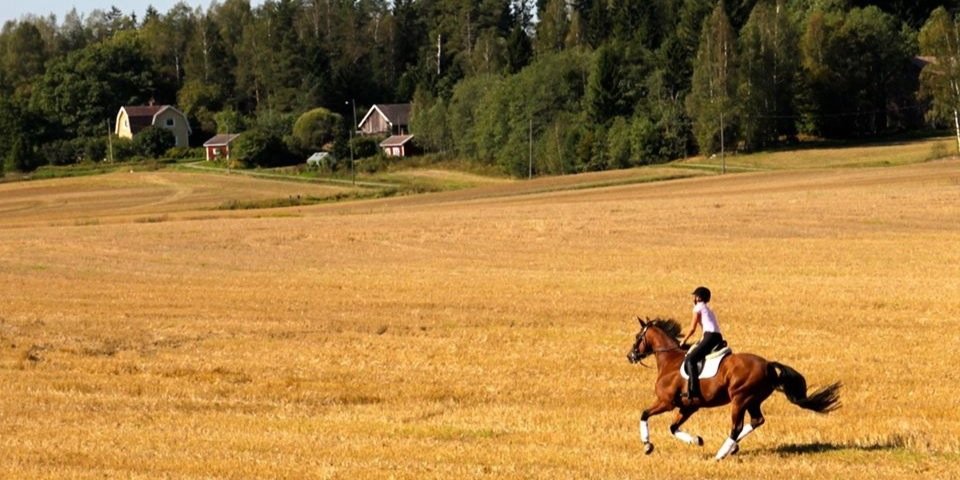 MKainulainen's profile banner image