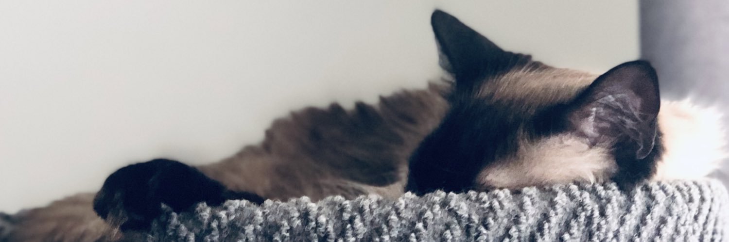 IanAtTheDisco's profile banner image