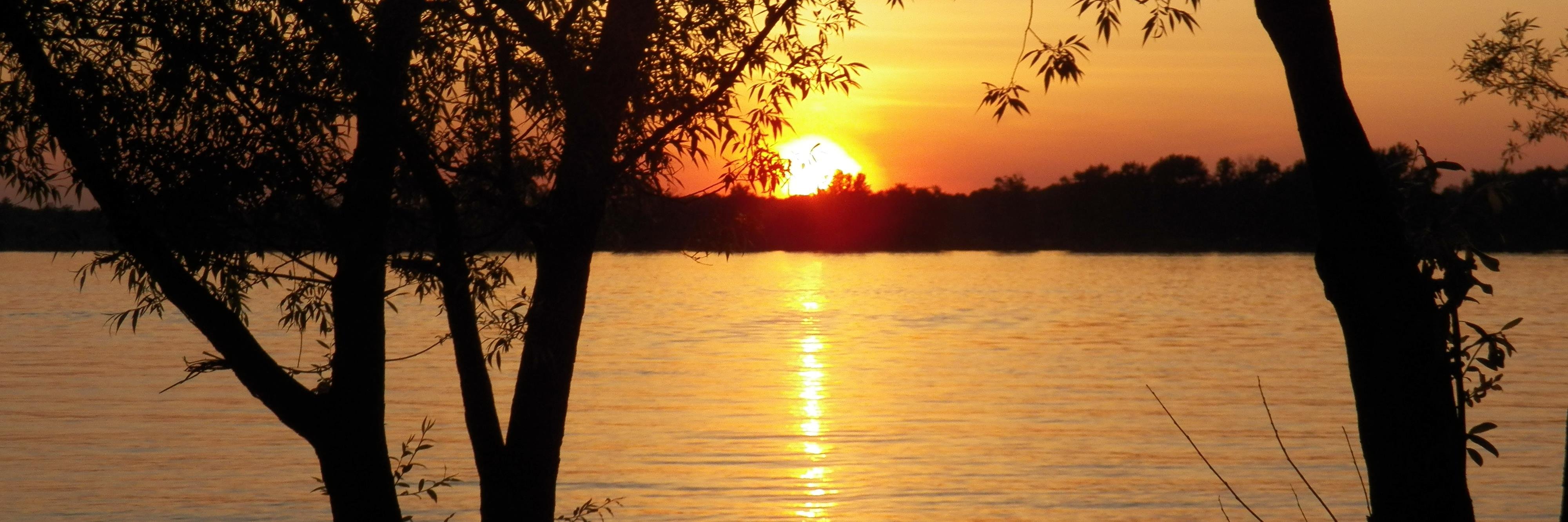 Mrs. Trigger (she/her) banner