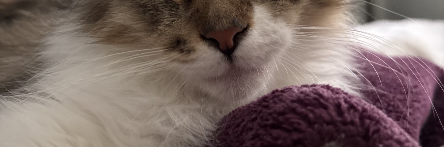 indigojxss's profile banner image