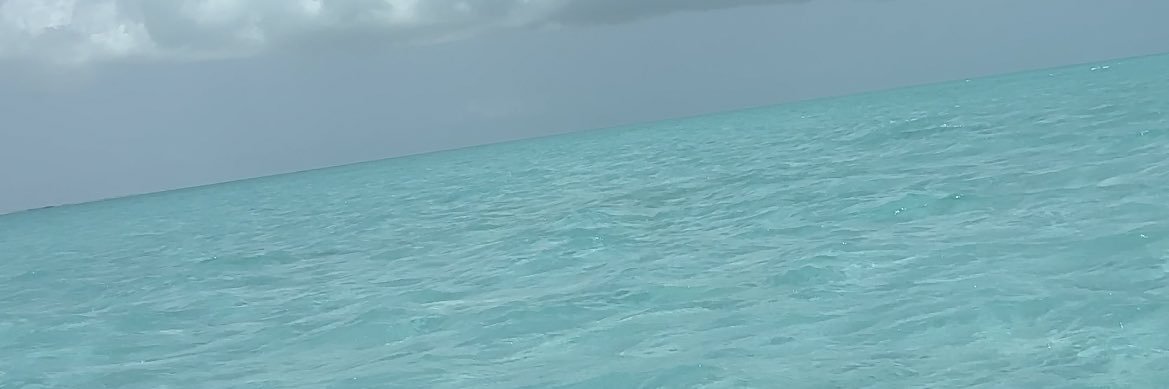 King Kalacey banner