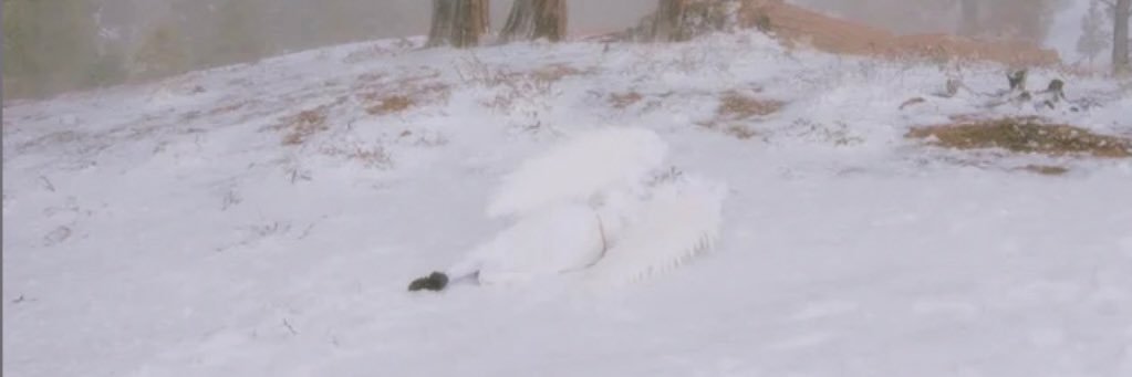 Mnkt97's profile banner image