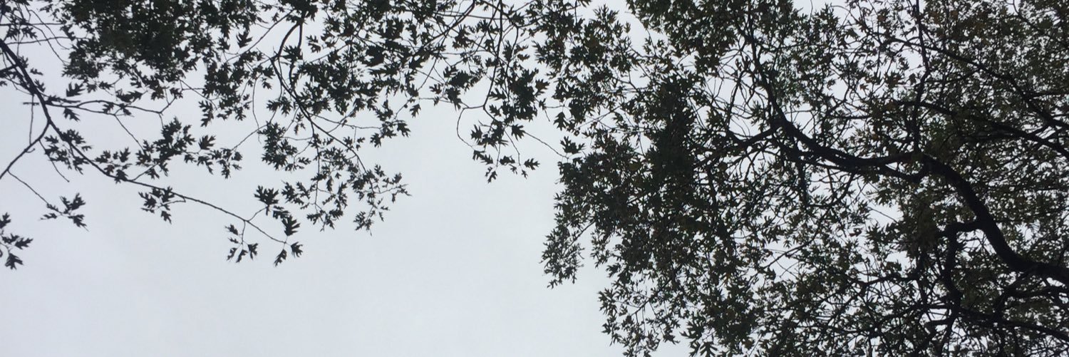 mattoaxaca's profile banner image