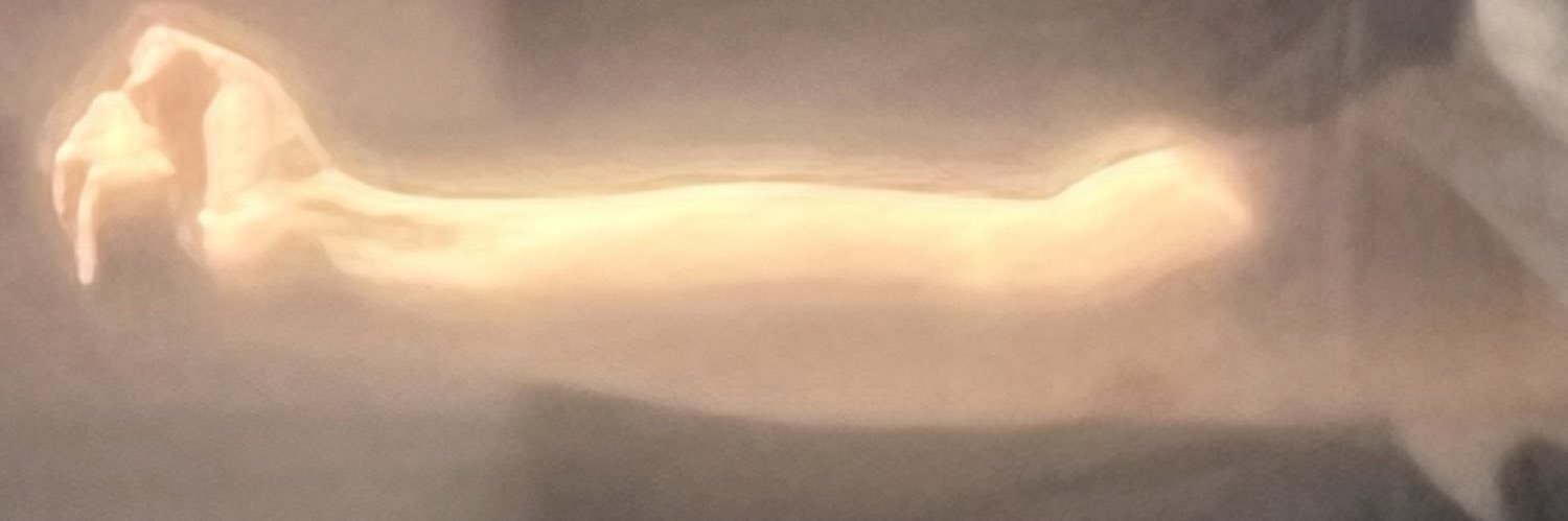Hi_its_paddy's profile banner image