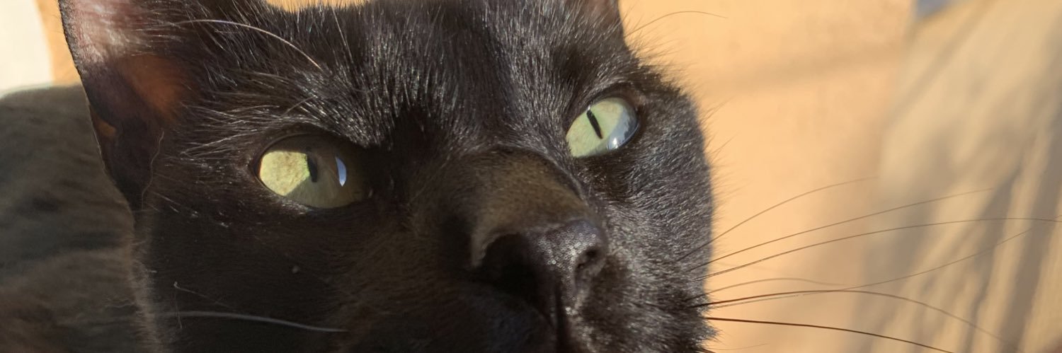 ochoycuarto's profile banner image