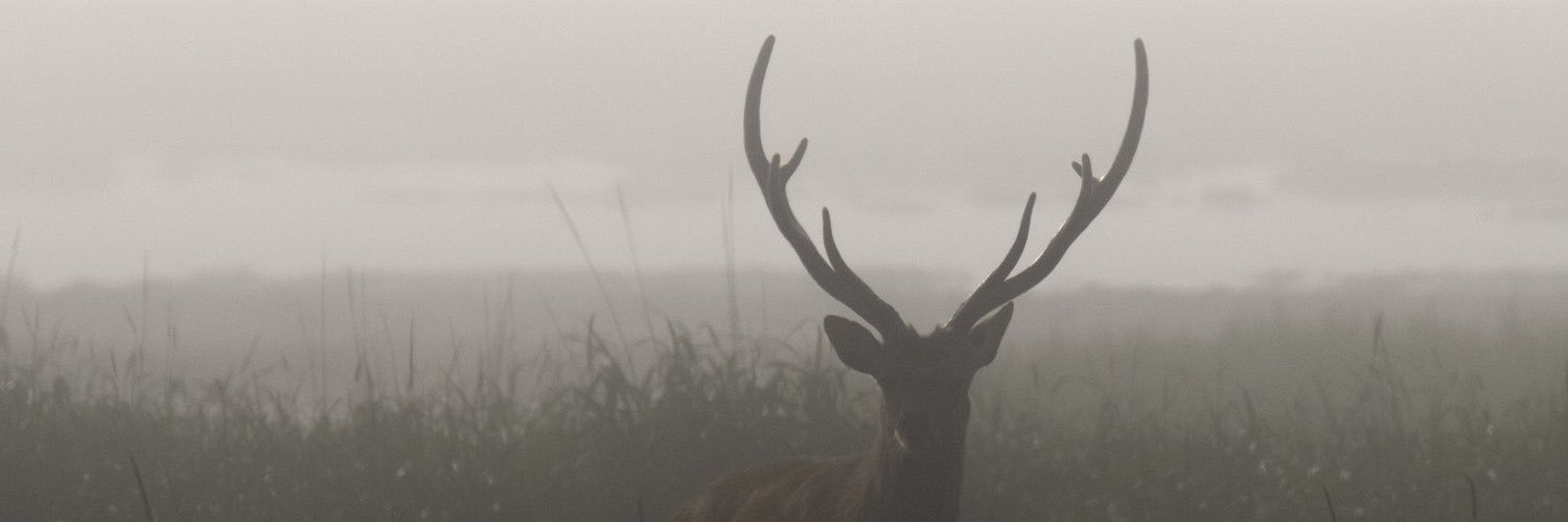 Nehc___'s profile banner image