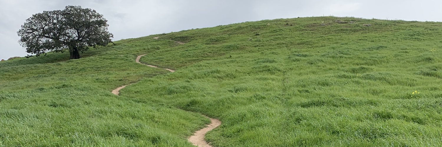 yorgoon's profile banner image