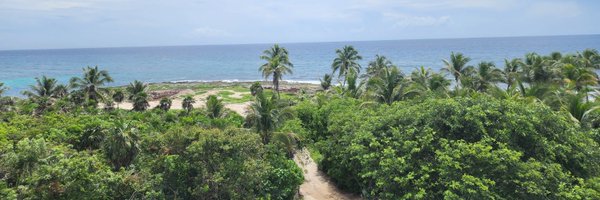 katchbeverly Profile Banner