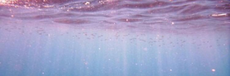 waads22's profile banner image