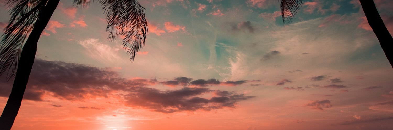 gagiutudorr's profile banner image