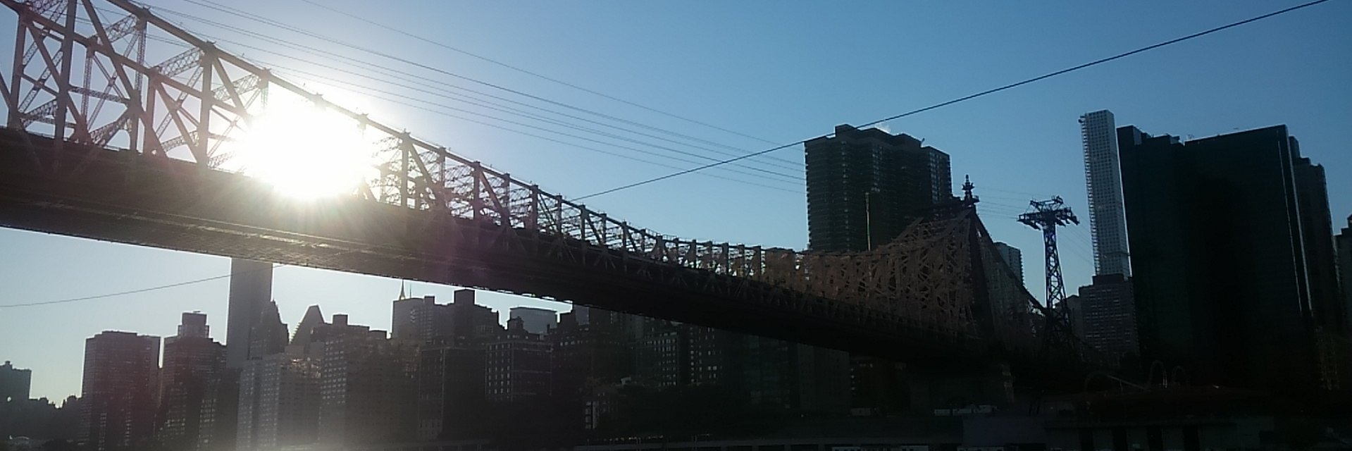 wanikozou's profile banner image