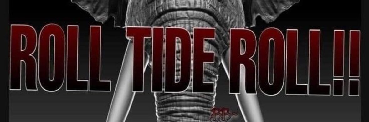 dabeardedpisces's profile banner image