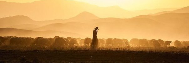 LonelyNeatherd's profile banner image