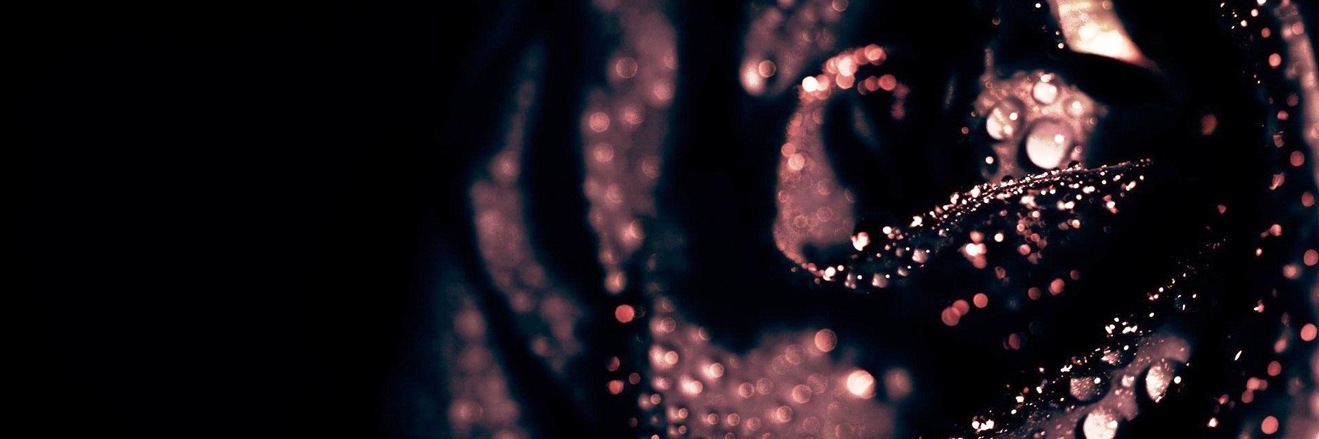 Theblackrosegin's profile banner image