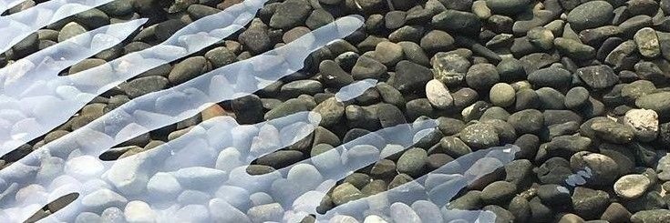 duoohyoung's profile banner image