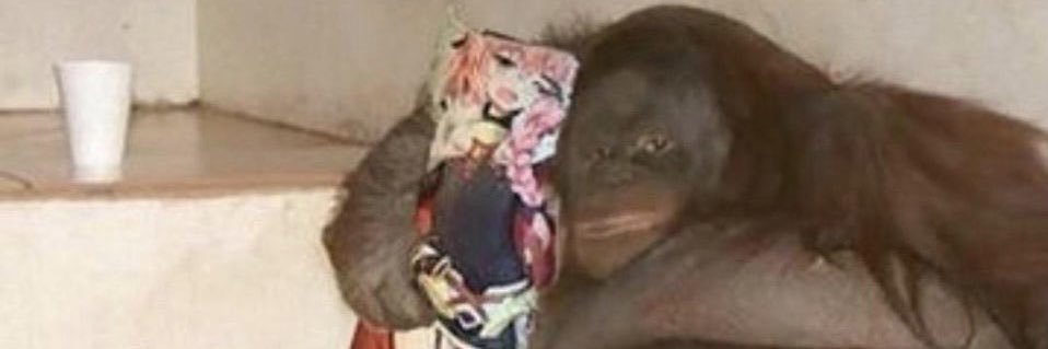 Zombie Lou Bega banner